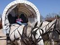 133-New Wagon Boss